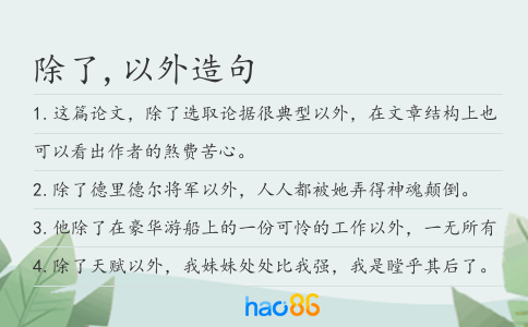 除了,以外造句