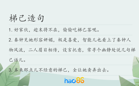 梯己造句