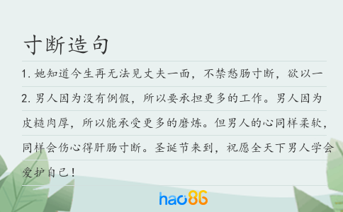 寸断造句