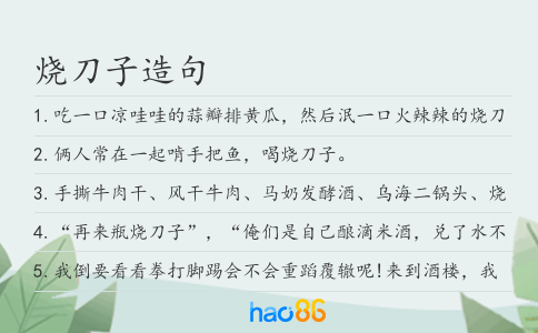 烧刀子造句