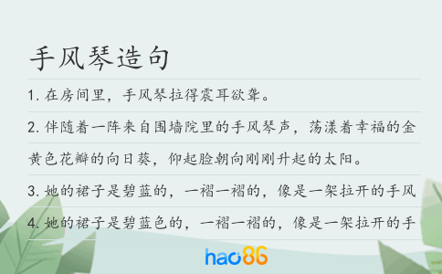 手风琴造句