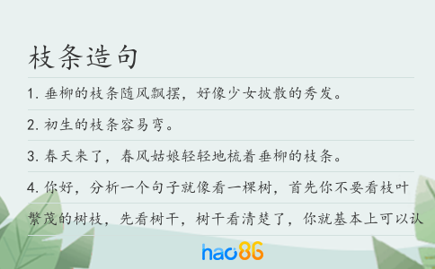 枝条造句