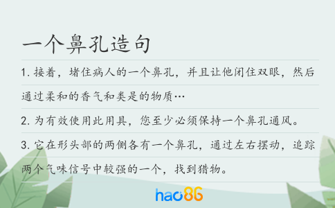 一个鼻孔造句