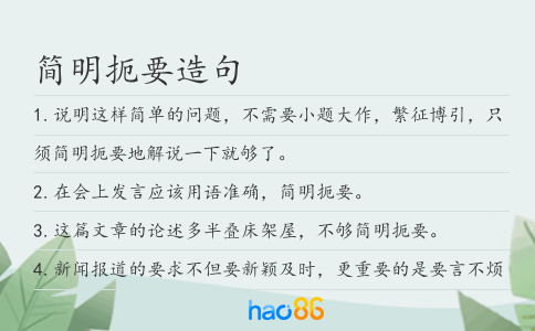 简明扼要造句
