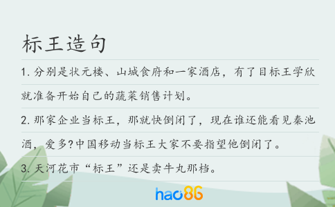 标王造句