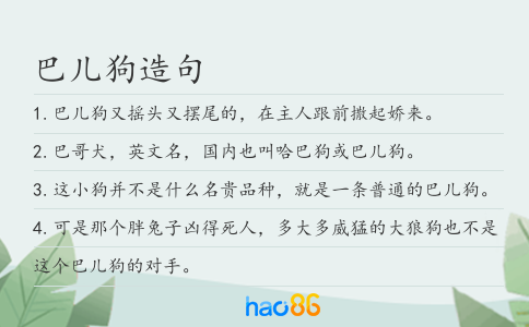 巴儿狗造句