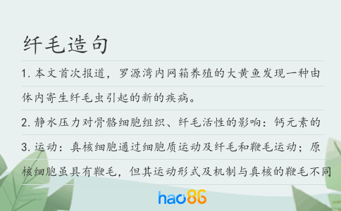 纤毛造句