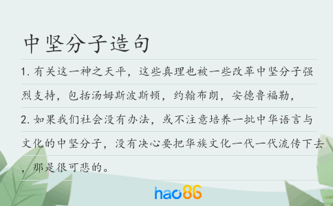 中坚分子造句