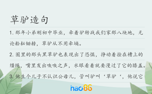 草驴造句