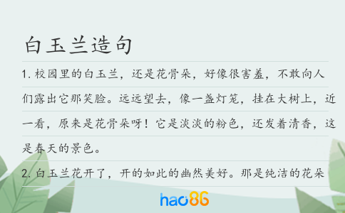 白玉兰造句