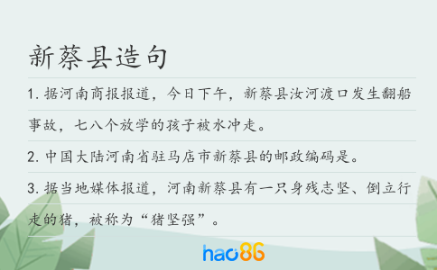 新蔡县造句