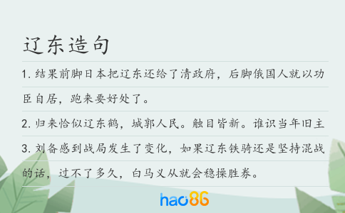 辽东造句