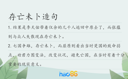 存亡未卜造句
