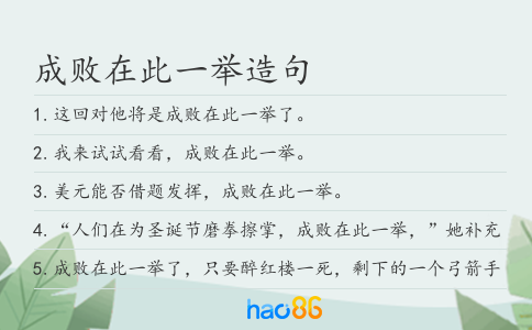 成败在此一举造句