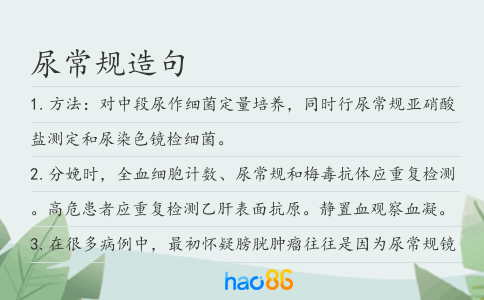 尿常规造句