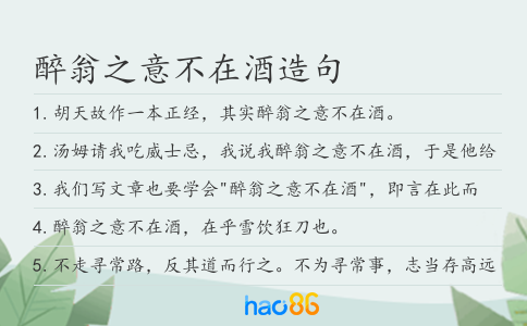 醉翁之意不在酒造句