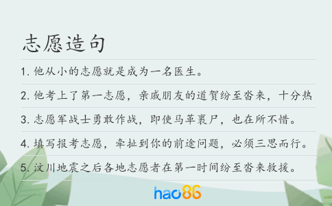 志愿造句