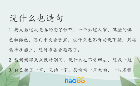 说什么也造句