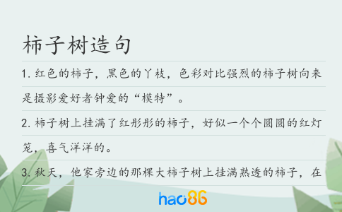 柿子树造句