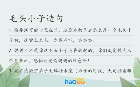 毛头小子造句
