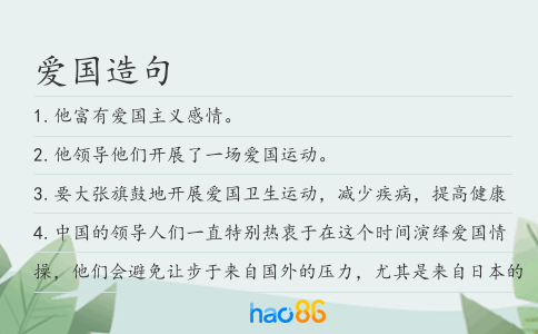 爱国造句