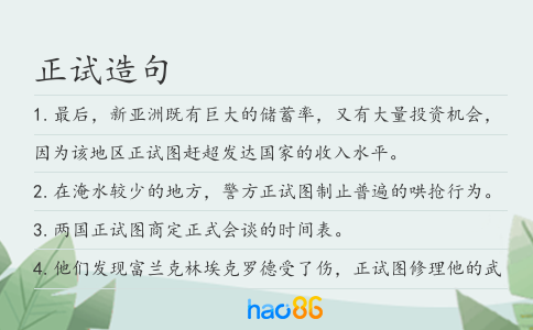 正试造句