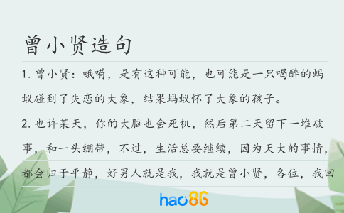 曾小贤造句