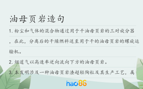 油母页岩造句