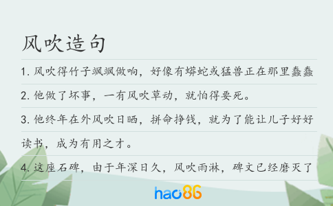 风吹造句