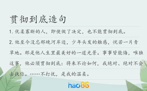 贯彻到底造句