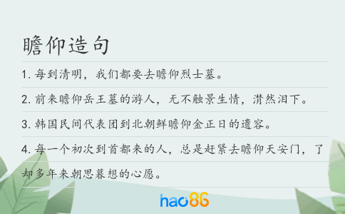 瞻仰造句