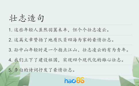 壮志造句