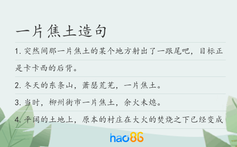 一片焦土造句