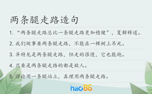 两条腿走路造句