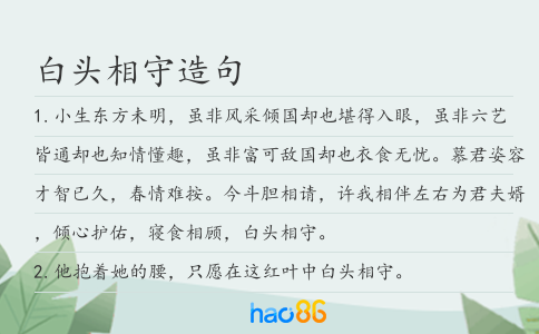 白头相守造句