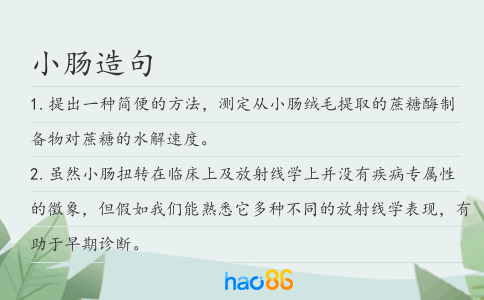 小肠造句