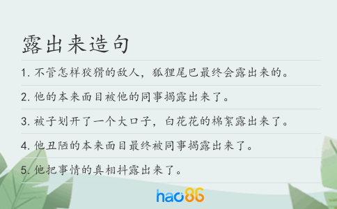 露出来造句