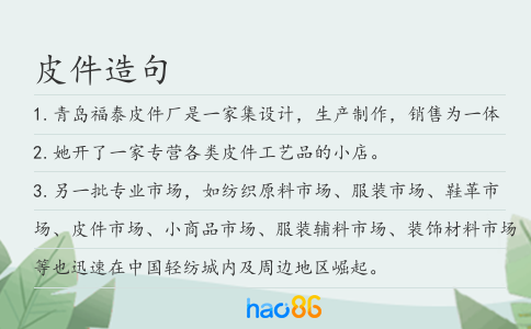 皮件造句