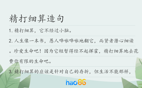 精打细算造句