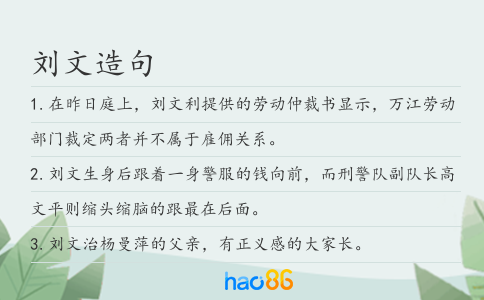 刘文造句