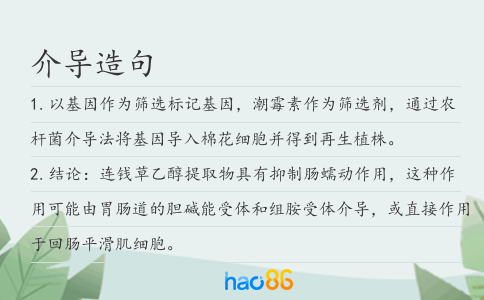 介导造句