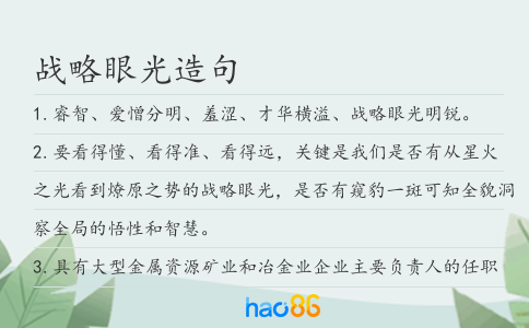 战略眼光造句