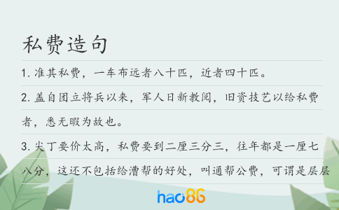私费造句