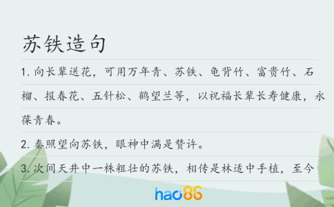 苏铁造句