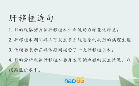 肝移植造句