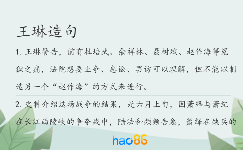 王琳造句