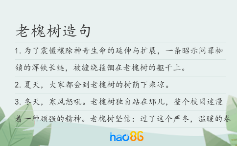 老槐树造句