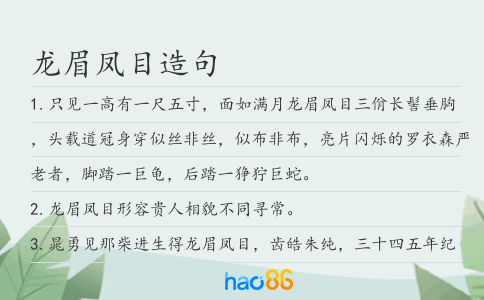 龙眉凤目造句