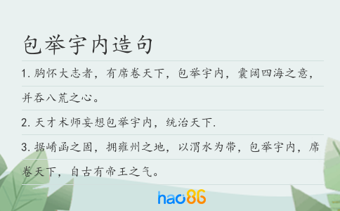 包举宇内造句
