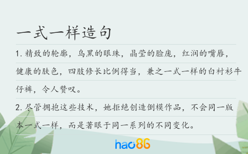 一式一样造句